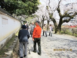 お花見