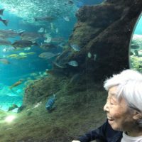 新江ノ島水族館