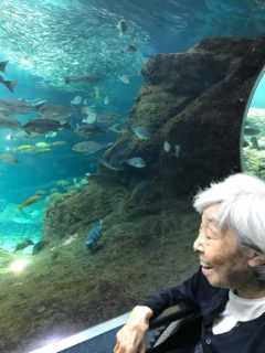 新江ノ島水族館