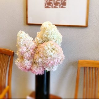 「エントランスの花」と「花壇の植替え」