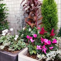 「エントランスの花」と「花壇の植替え」