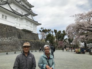 お花見レクリエーション