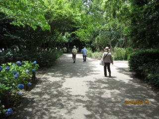 長久保公園散策