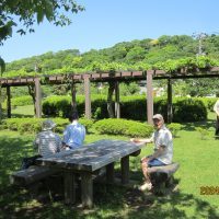 引地川親水公園を散策