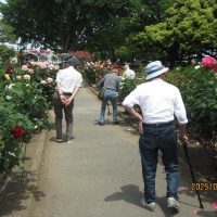 平塚総合公園