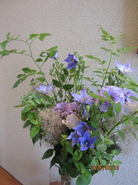 6月ブログ お花